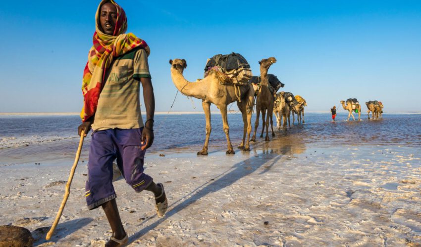 5 Äthiopien_Salzkarawane_in_der_Danakil