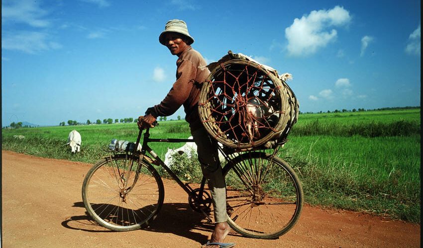 2 Seidenstraße & Meer 2 Seidenstraße & Meer