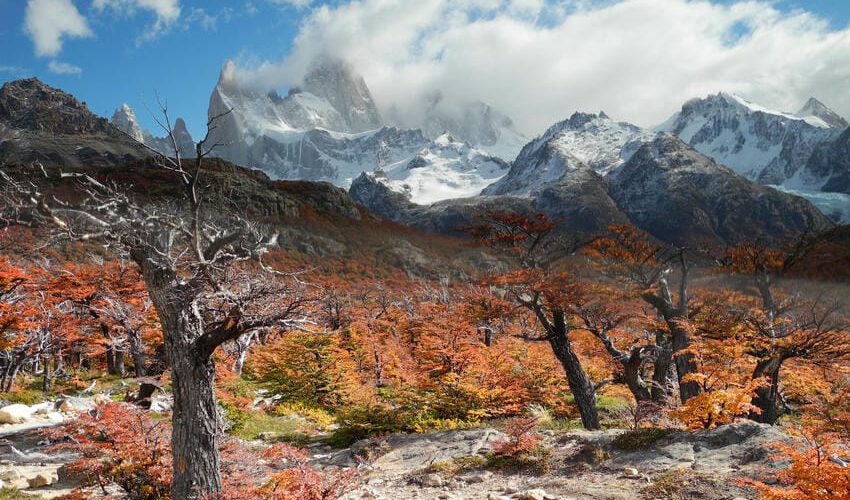 3 Patagonien 3 Patagonien