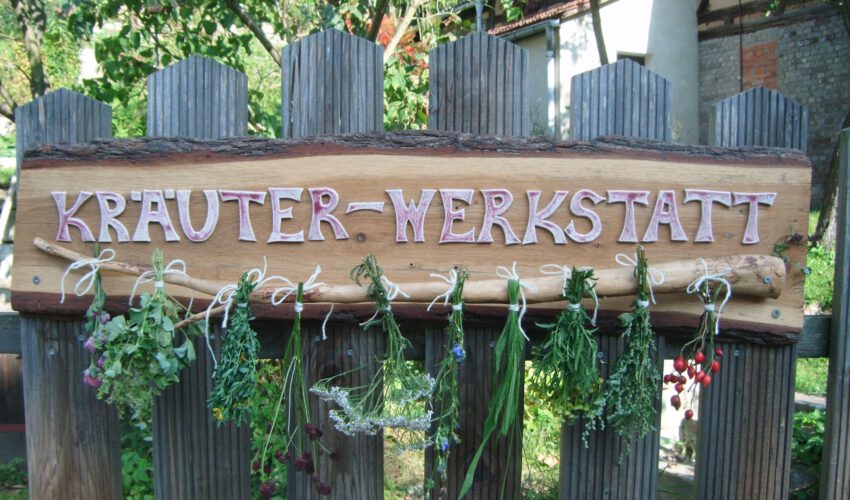 Wildkräuterseminar