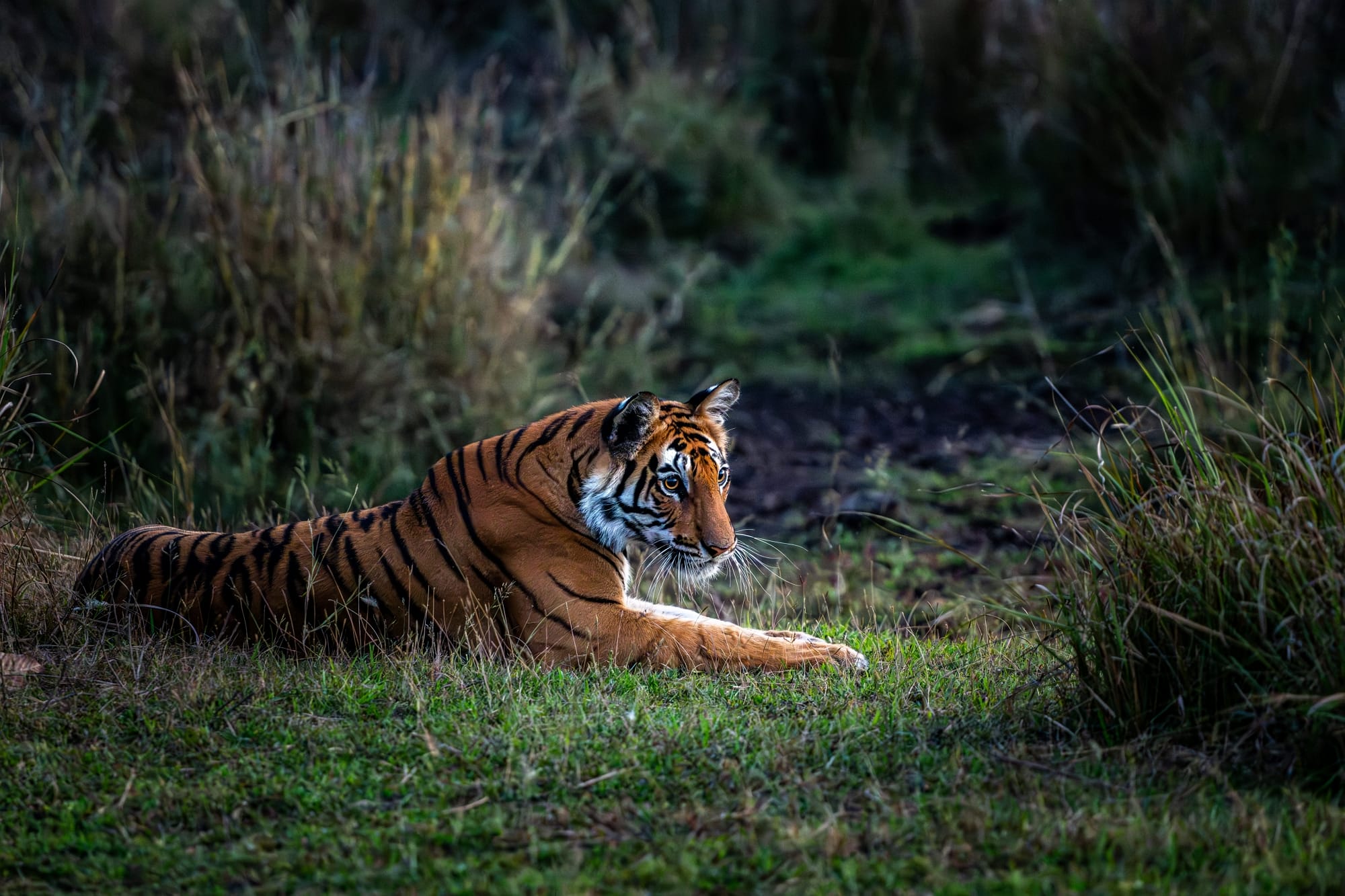 28. Weltsichten Festival 29.1. - 31.1.2027